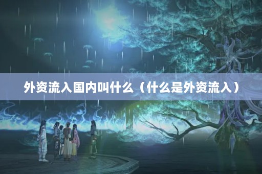 外资流入国内叫什么（什么是外资流入）