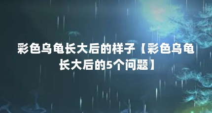 ɫڹ곤ӡɫڹ곤5⡿