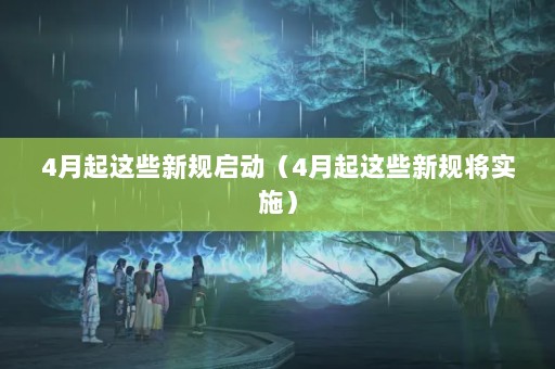 4Щ¹4Щ¹潫ʵʩ