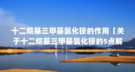 ʮ׻Ȼ淋áʮ׻Ȼ淋5
