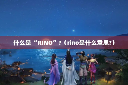 ʲôǡRINO?rinoʲô˼?