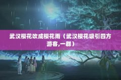人ӣӣ꣨