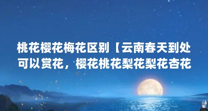 һӣ÷ϴ쵽ͻӣһ滨滨ӻӻֵ𣿡