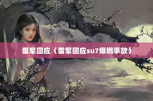 ׾Ӧ׾Ӧsu7ȼ¹ʣ