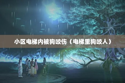 Сڱҧˣﹷҧˣ