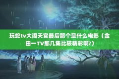 tv칬