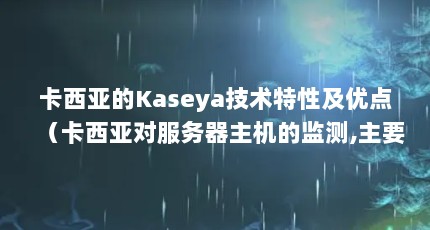 ǵKaseyaԼŵ㣨ǶԷļ,ҪЩ?(IBM,DELLHP)kaǵķ