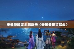 美关税政策全球反击（