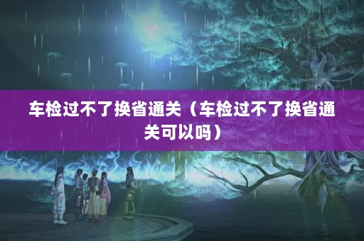 车检过不了换省通关（车检过不了换省通关可以吗）