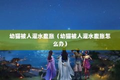 幼猫被人灌水腹胀（幼猫被人