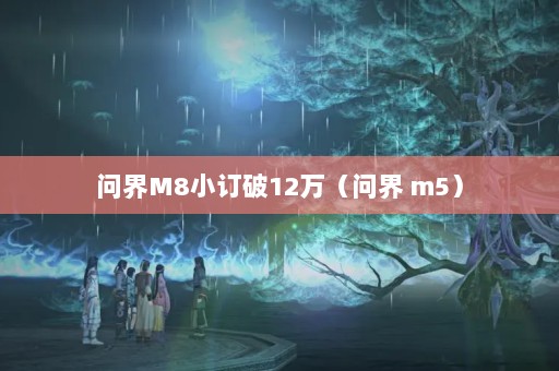 ʽM8С12ʽ m5