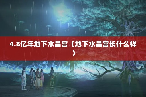 4.8ˮˮʲô