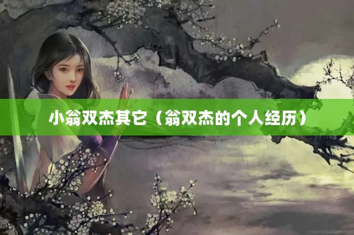 С˫˫ܵĸ˾