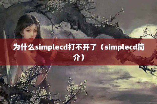 Ϊʲôsimplecd򲻿ˣsimplecd飩