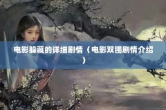 Ӱصϸ飨Ӱ˫