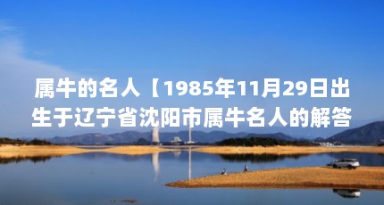 ţˡ19851129ճʡţ˵Ľ