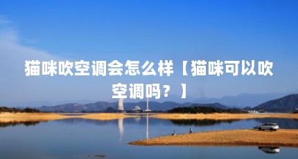 è䴵յôèԴյ𣿡