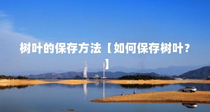 Ҷı淽αҶ