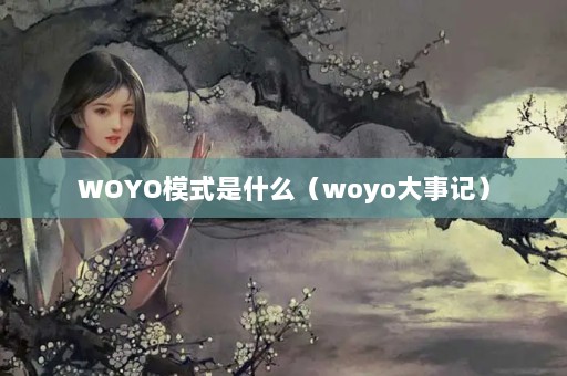 WOYOģʽʲôwoyo¼ǣ