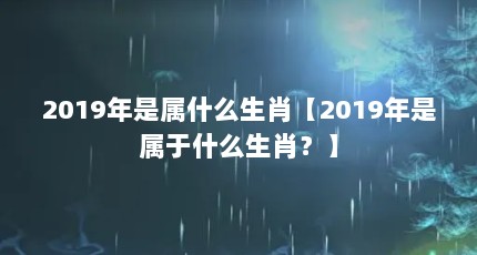2019ʲôФ2019ʲôФ